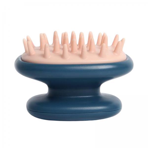 Brosse de massage pour cheveux - Hair Care Daily Routine avis et prix
